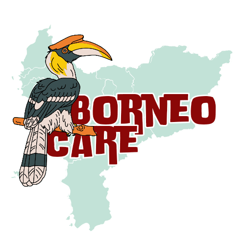 Logo Borneo Care